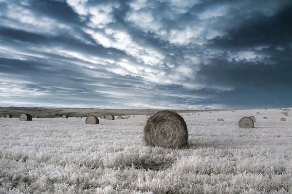 Wolken verdicken sich über dem Feld und einsamen Ballen