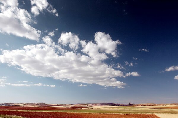 Cirrus clouds hung over the plain