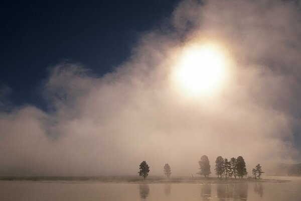 Trees and a lake in a misty sunset