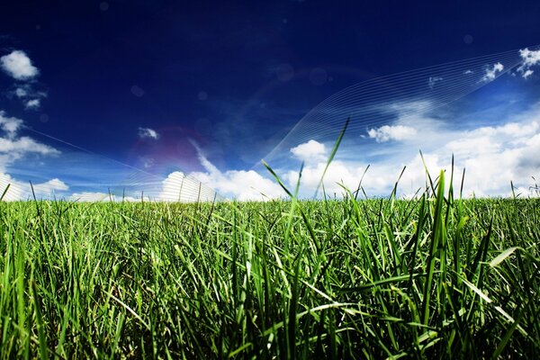 Dark blue sky with fluffy clouds