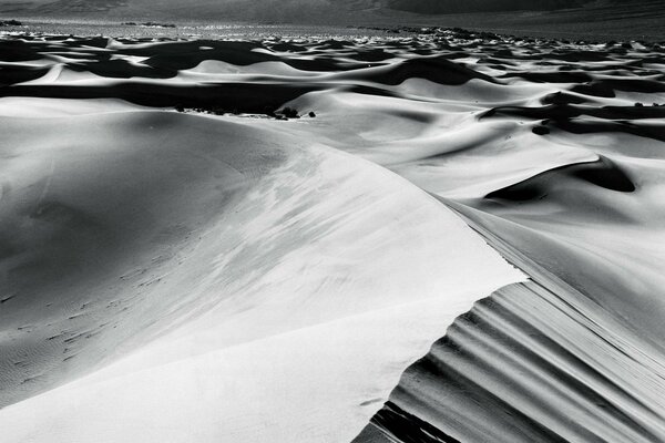 La arena del desierto es muy blanca