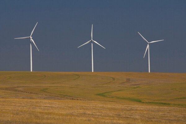 Twilight in the field with windmills