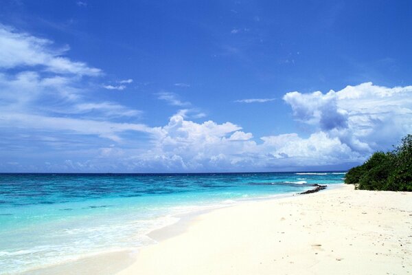 Sandy beach by the blue sea