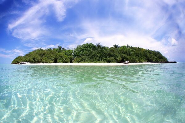 Vacaciones en una isla tropical en medio del mar