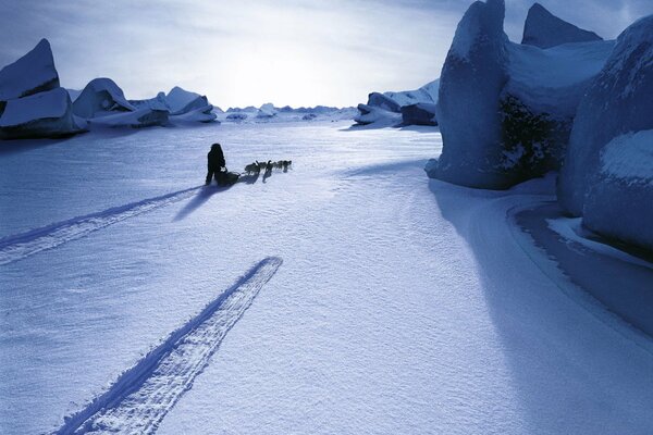 Un trineo de perros corre a través de una llanura Nevada