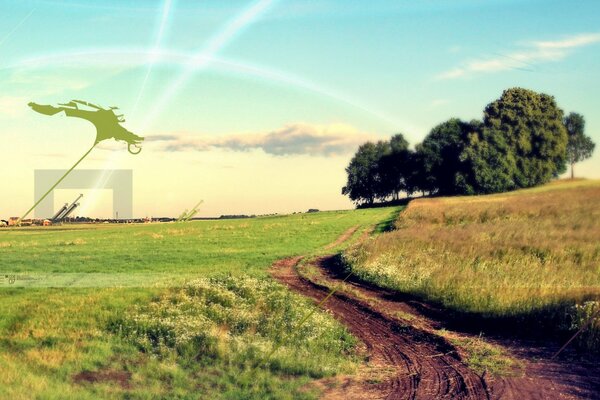 The road goes through the fields to the trees