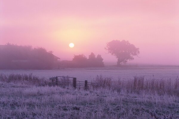 Fog and sun on a frosty morning