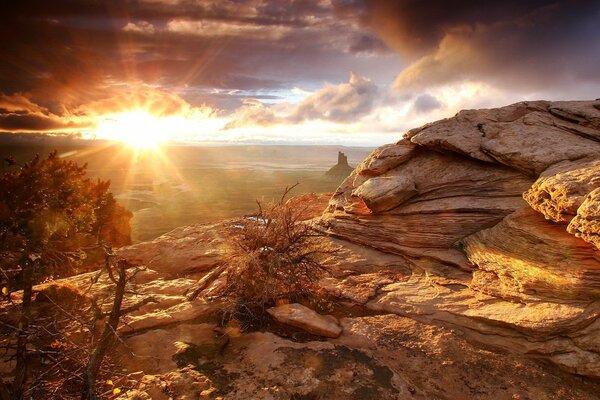 Rocks in the morning in the hot desert