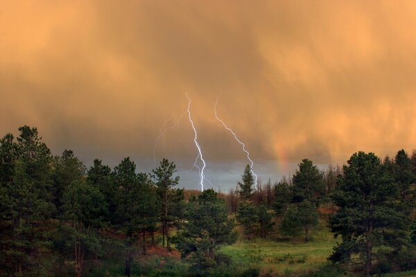 Green forest thunderstorm in the sky