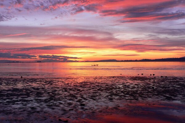 Puesta de sol naranja-rosa en el mar