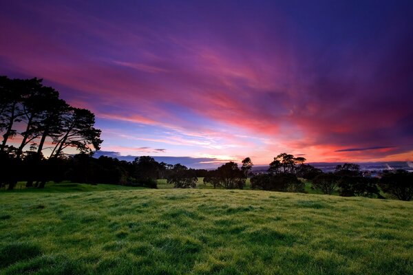 Sonnenuntergang im Feld und grünes Gras