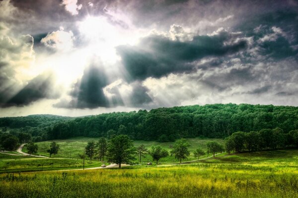 Árboles en un campo bajo las nubes