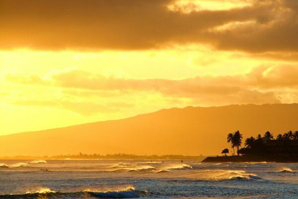 Wellen des Ozeans bei Sonnenuntergang mit Palmen