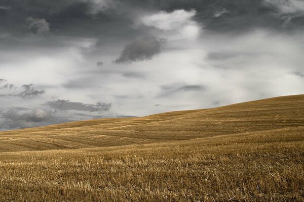 A mown field against a background of gray clouds