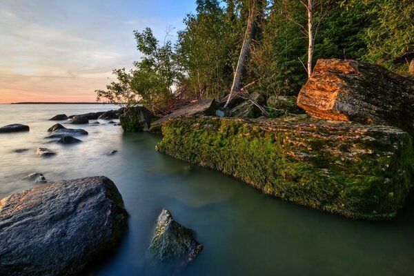 Stones with moss on the shore of a forest lake