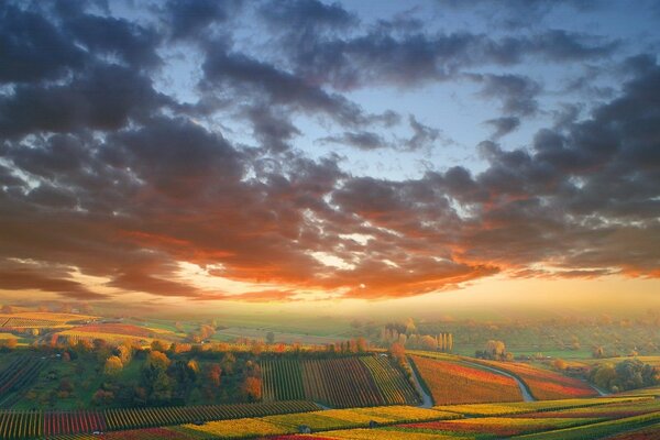 Golden autumn in green fields