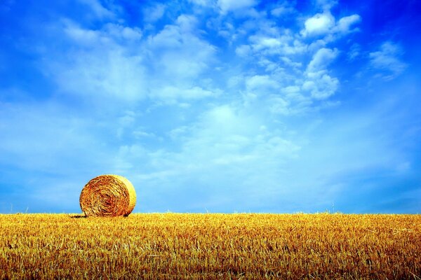 Стог сена в поле на фоне голубого неба