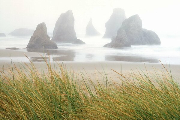 Rocce e nebbia sul mare con una spiaggia sabbiosa