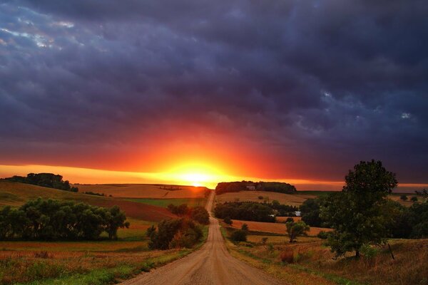 Route entourée de champs, au coucher du soleil