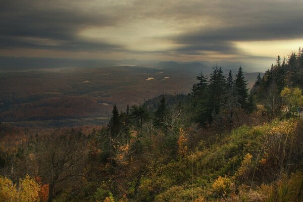 Autumn sadness view over the forest and the road in the distance