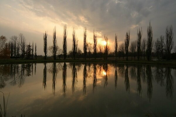 Reflexion der Bäume im Teich bei Sonnenuntergang