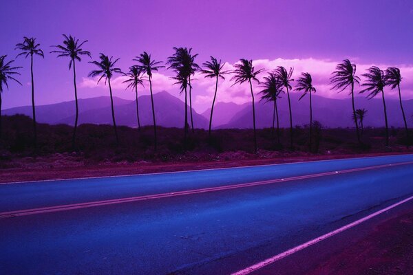 Palm trees on the road against the background of mountains