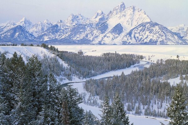 Snow-capped mountains and trees by the river