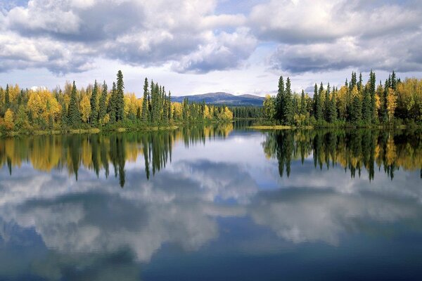 Trees and clouds are reflected in the lake