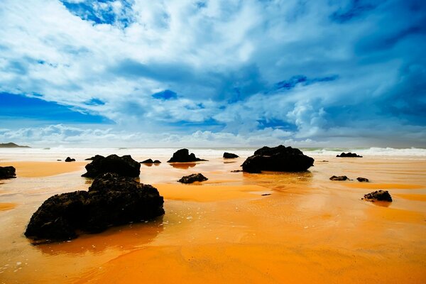 Juicy colors of a deserted beach