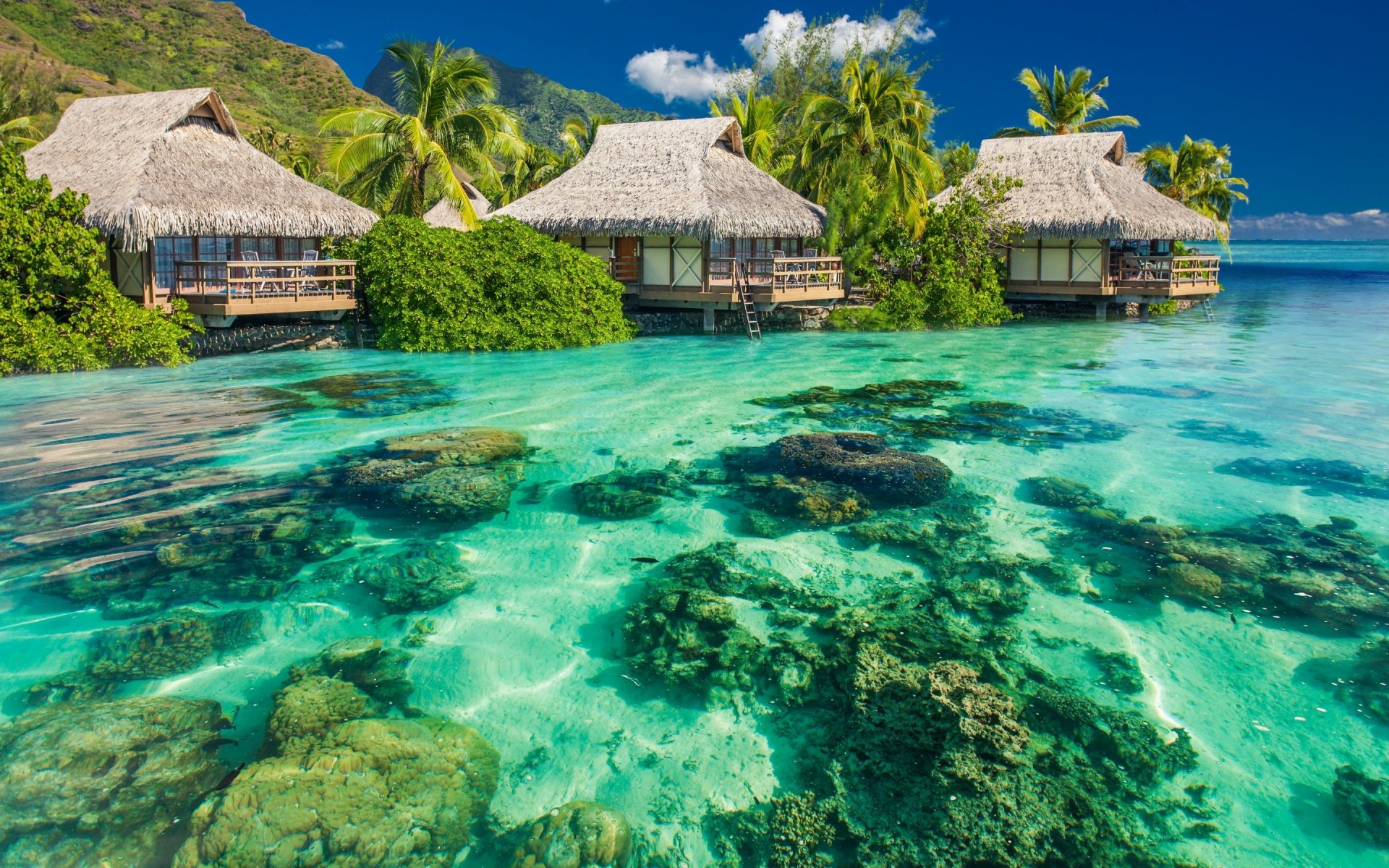 ozean wasser steine bungalow palmen himmel