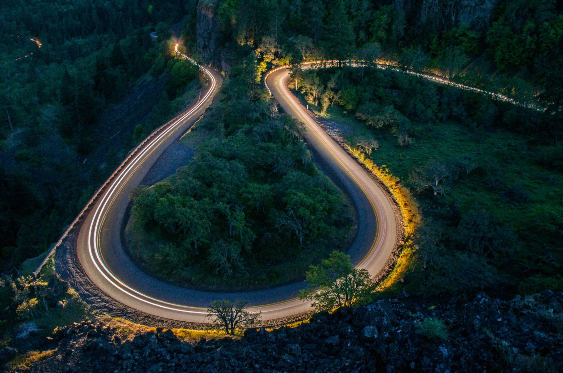 road forest night serpentine