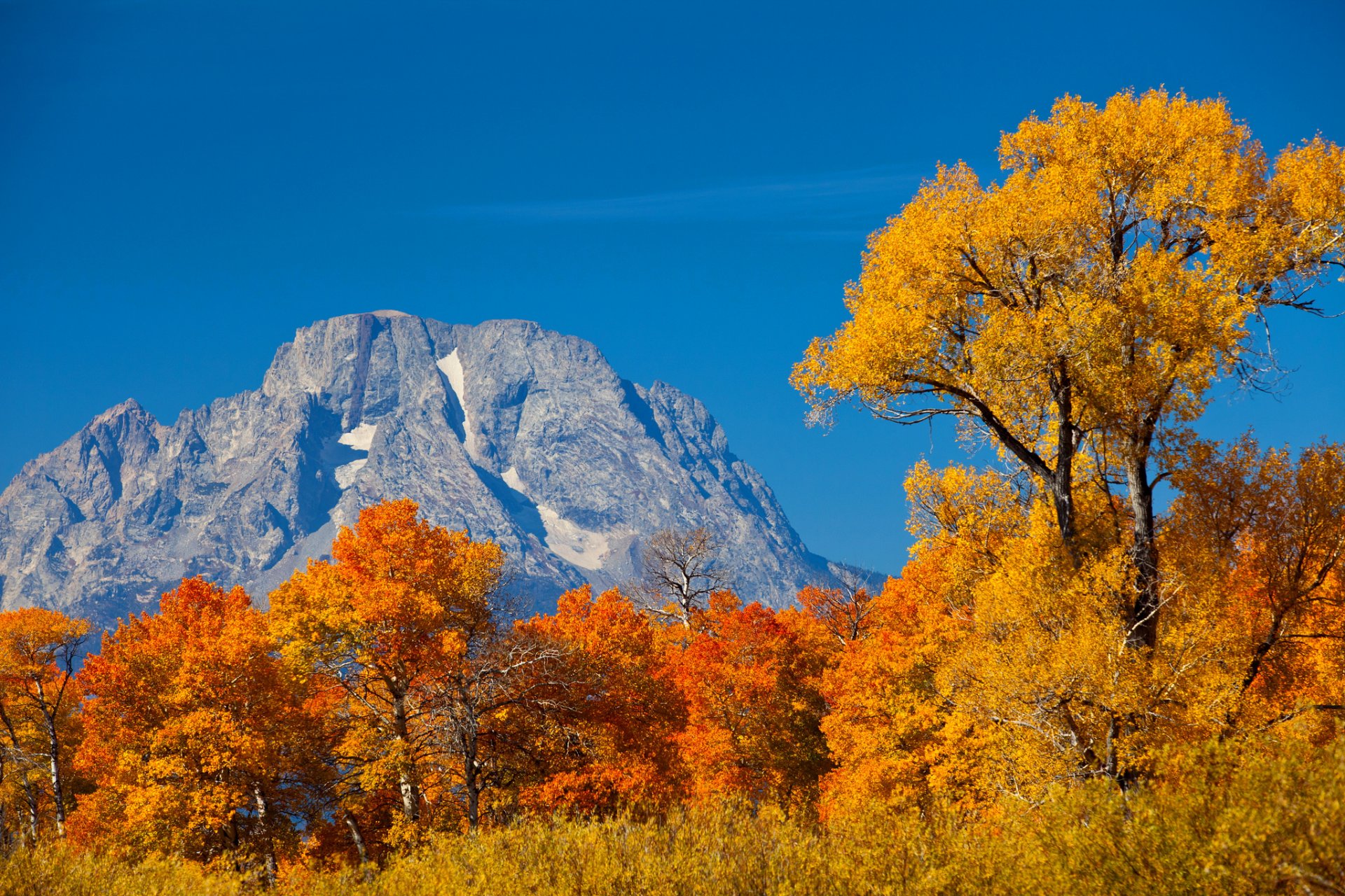 himmel berge bäume blätter herbst