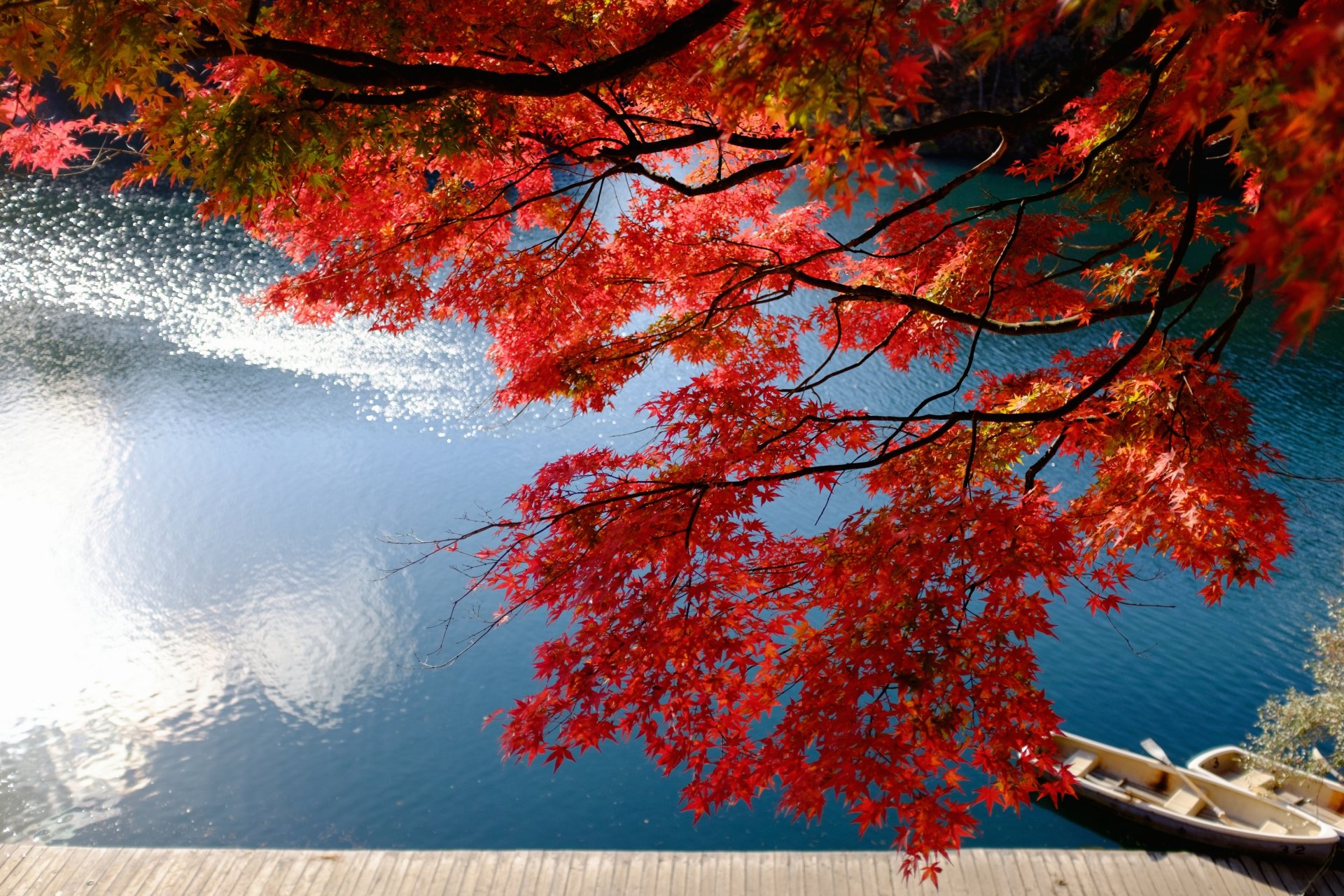 lac bishamon bandai fukushima japon lac bishamon bandai lac bateaux quai érable japonais branches automne