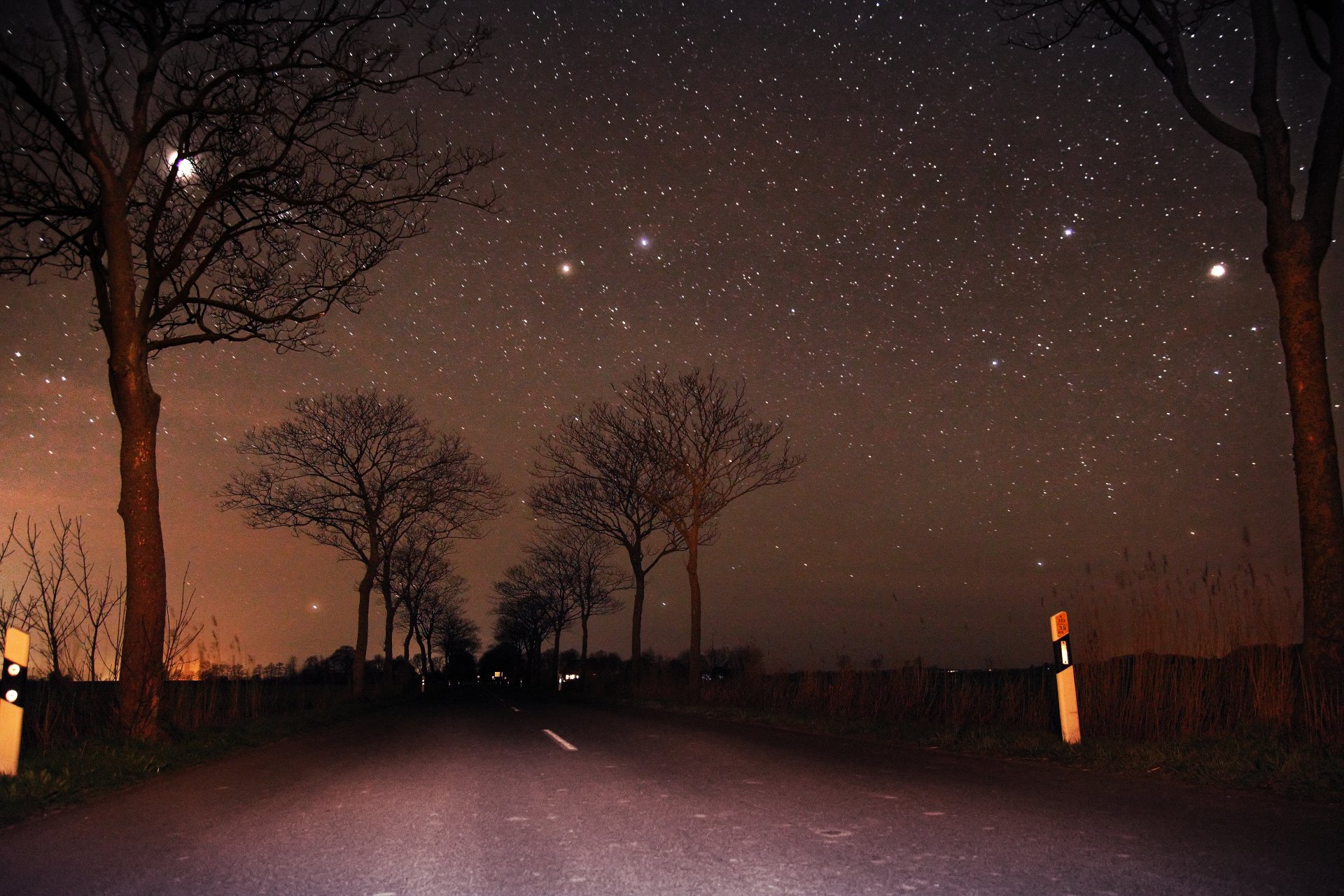 noche cielo luna árboles camino estrellas