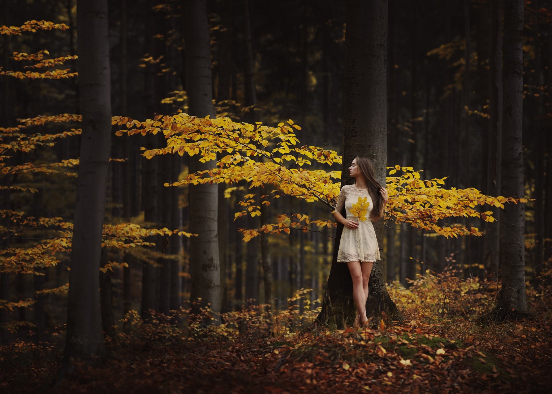 girl forest autumn