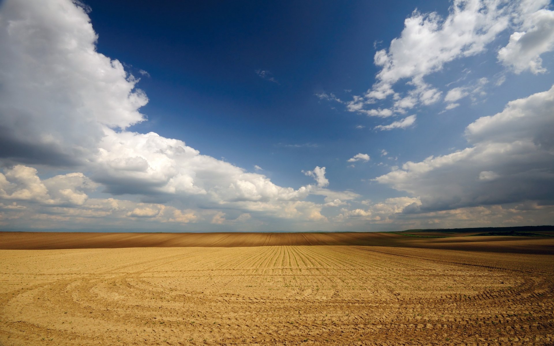 campo cielo vuoto