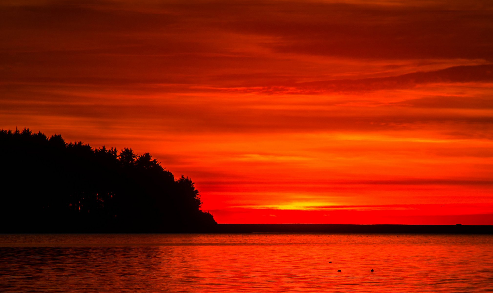 ky clouds sunset glow forest tree lake