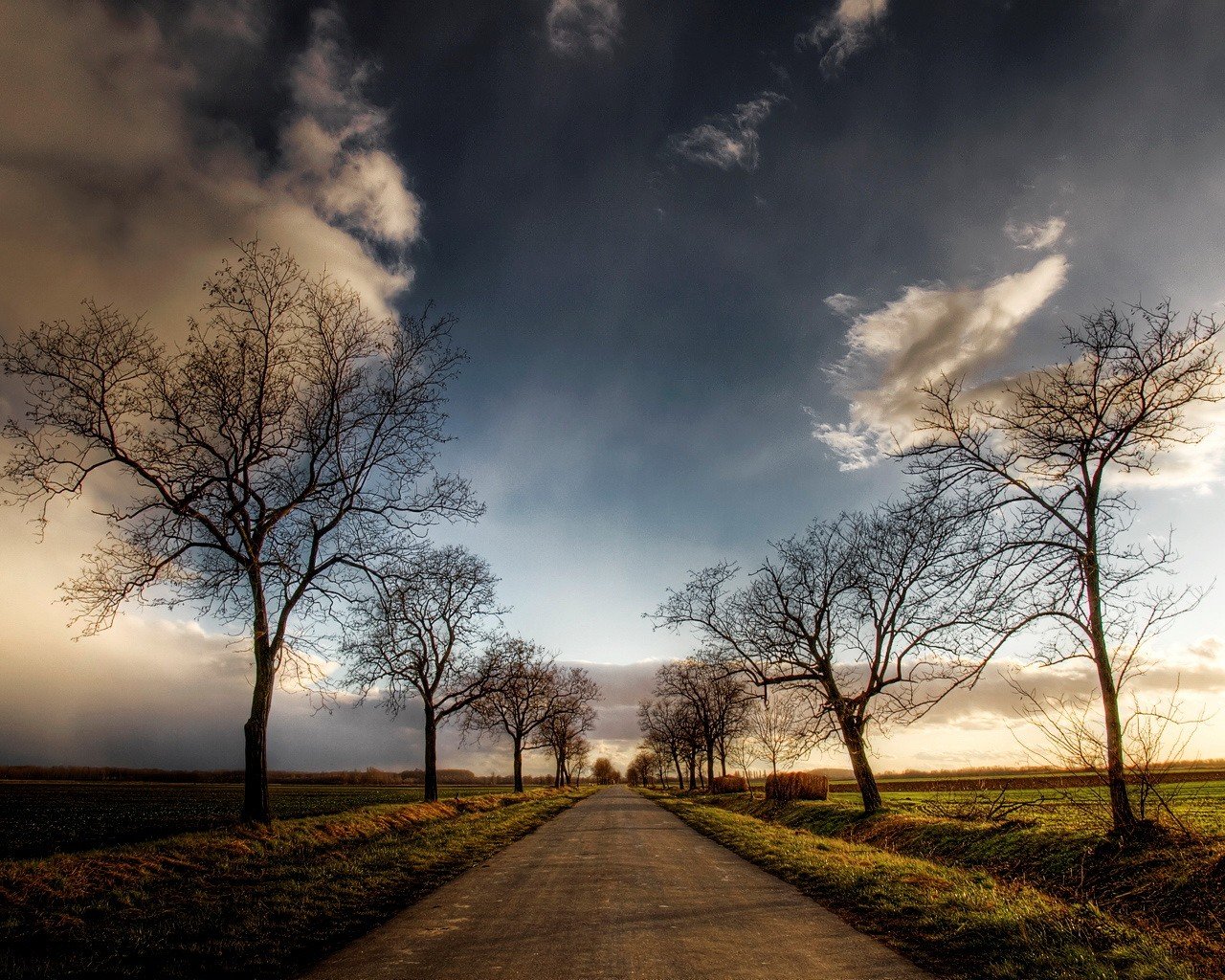 route ciel arbres