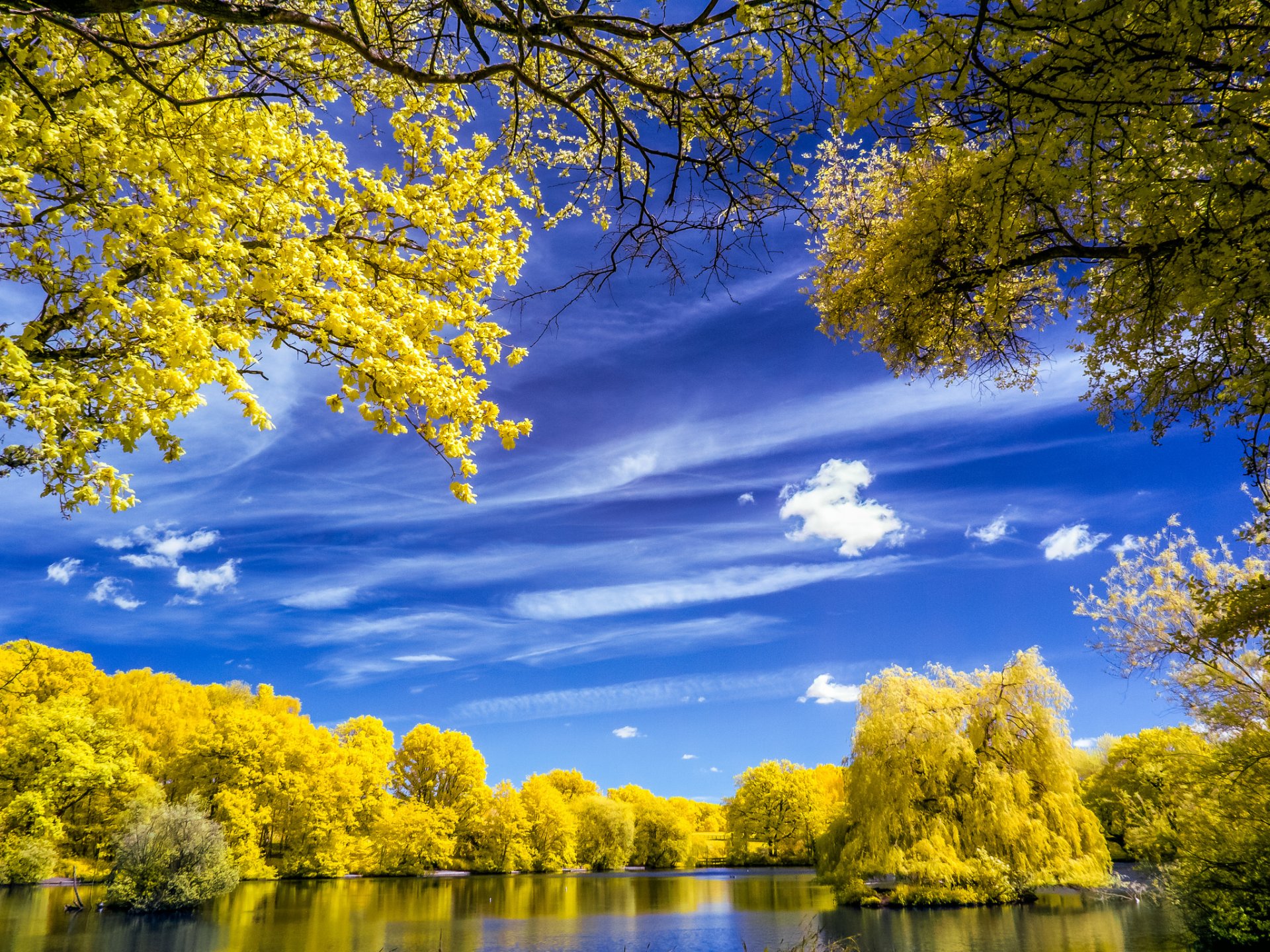 cielo nuvole lago alberi autunno