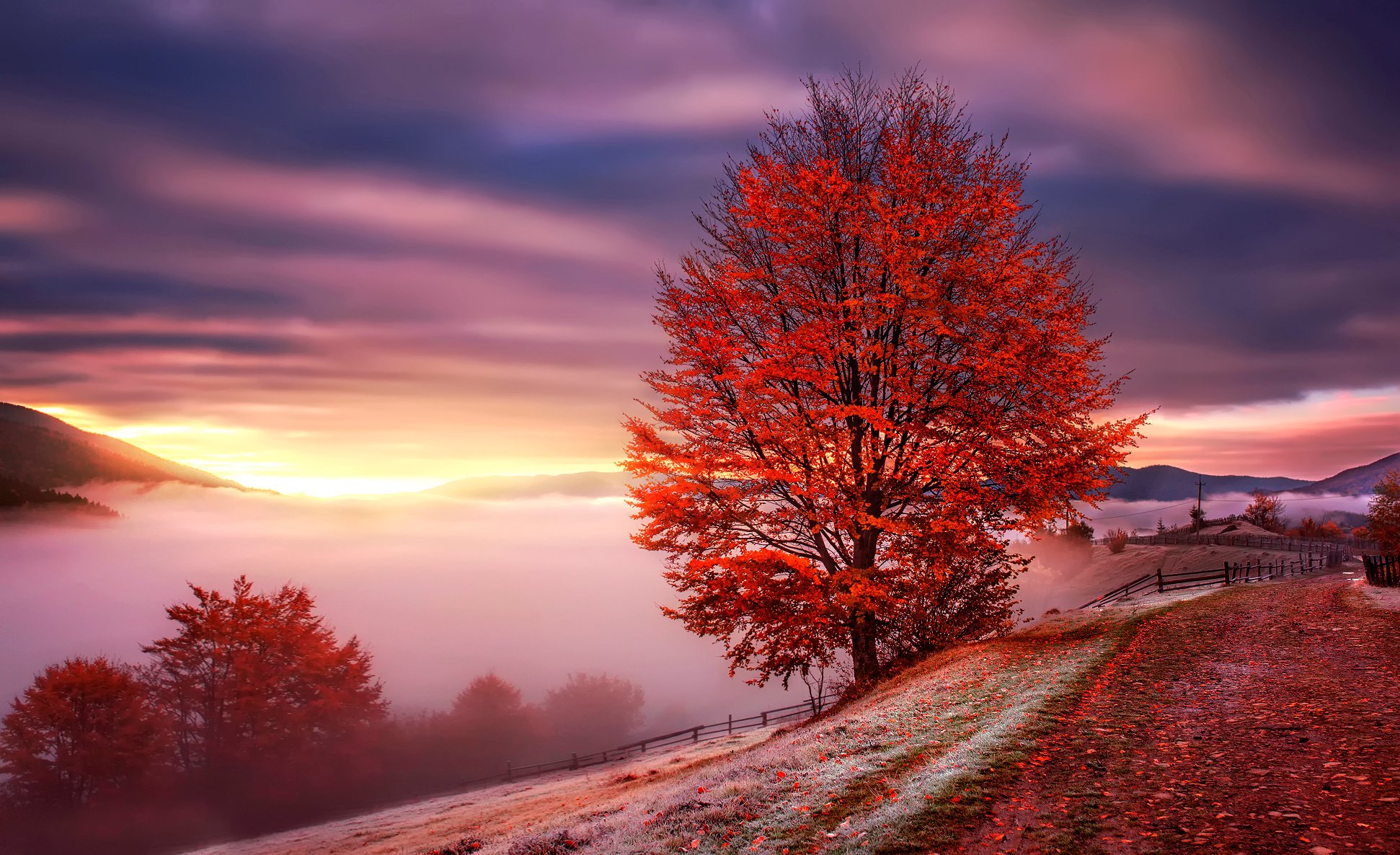 karpaten ukraine berge herbst dämmerung nebel