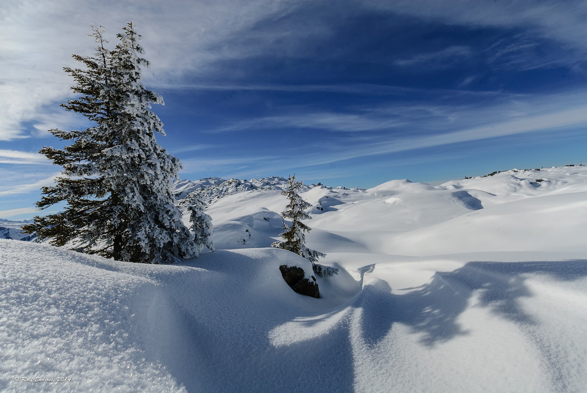 cielo invierno montañas colinas nieve árbol abeto