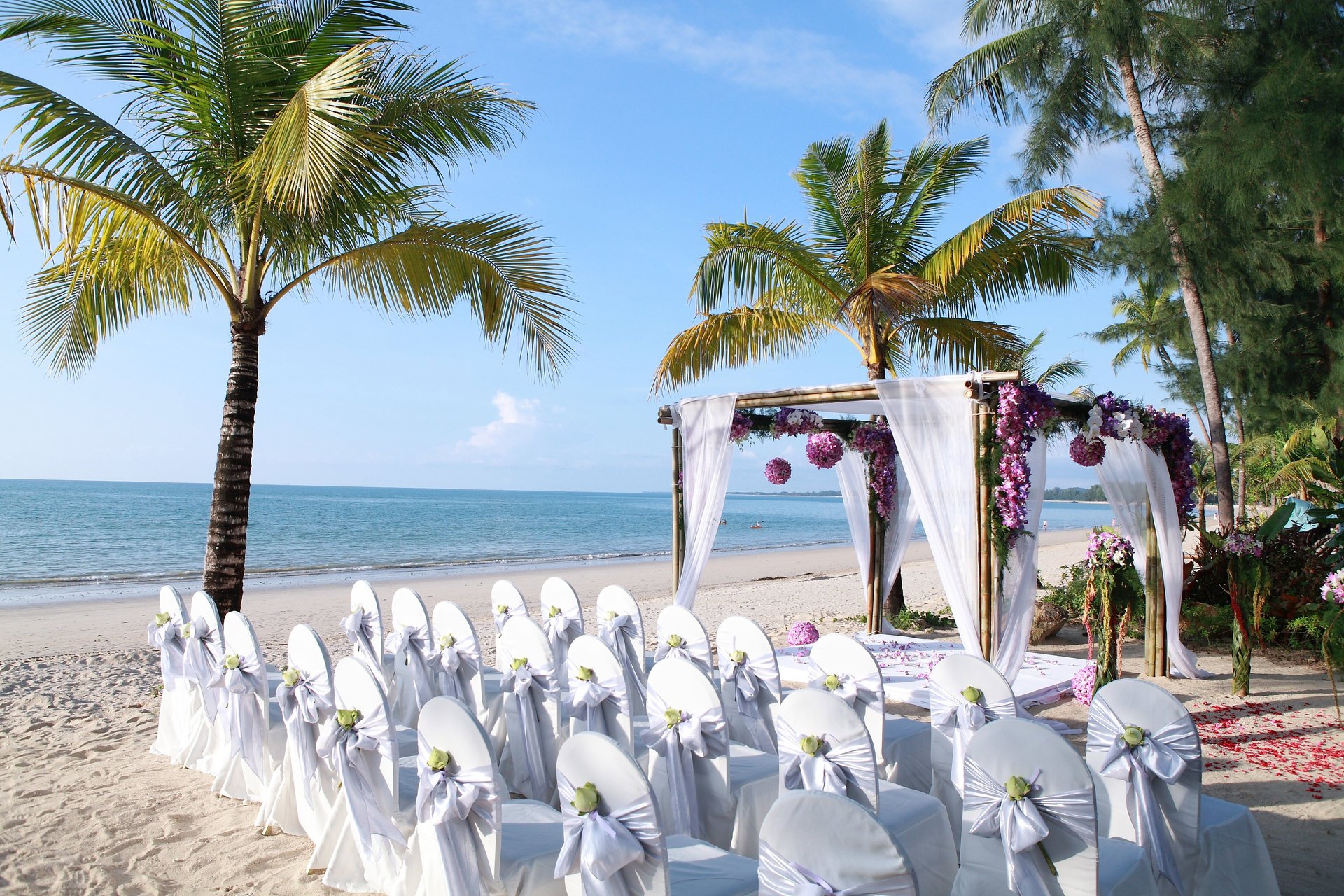 nature tropiques mer côte sable gazebo chaises fleurs pétales