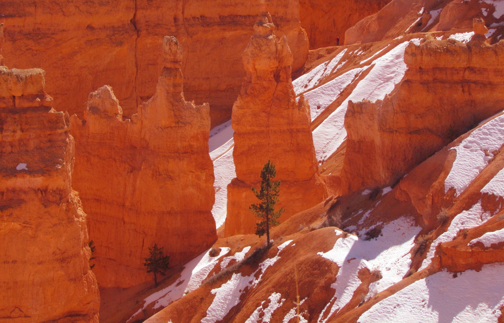 parc national de bryce canyon utah usa roches montagnes arbre neige