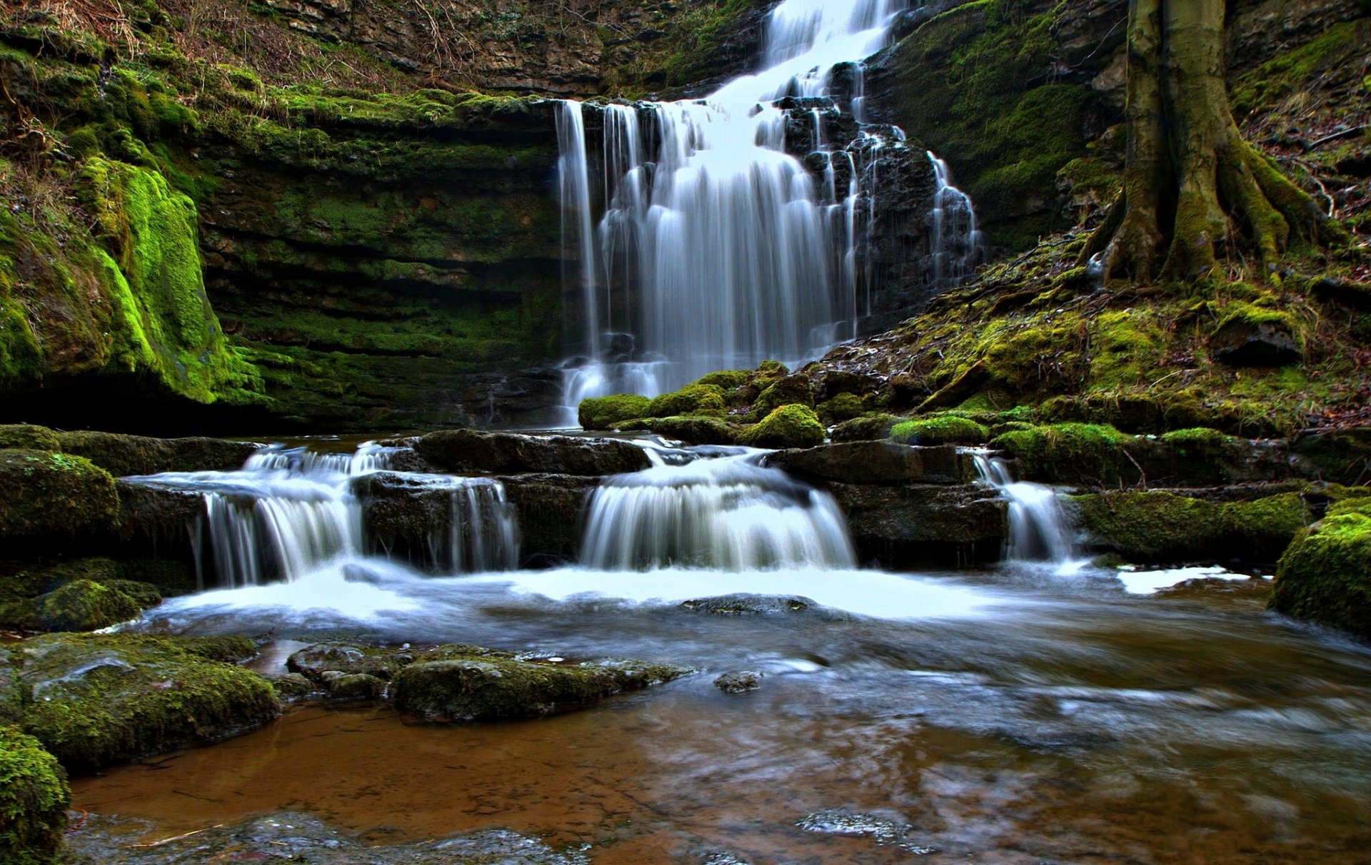 caleber di forza yorkshire dales north yorkshire inghilterra yorkshire dales cascata cascata