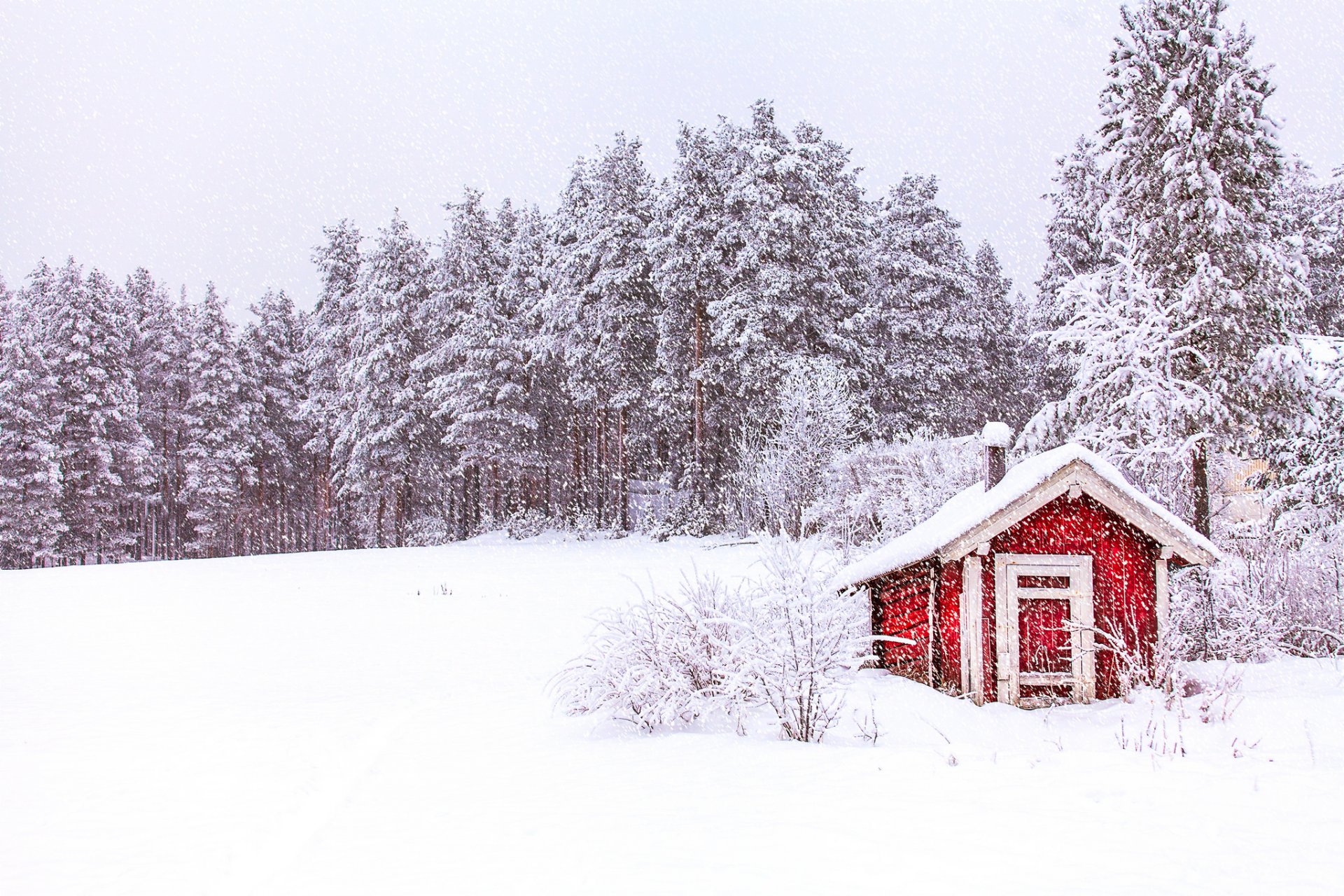 norwegia niebo las drzewa zima śnieg natura