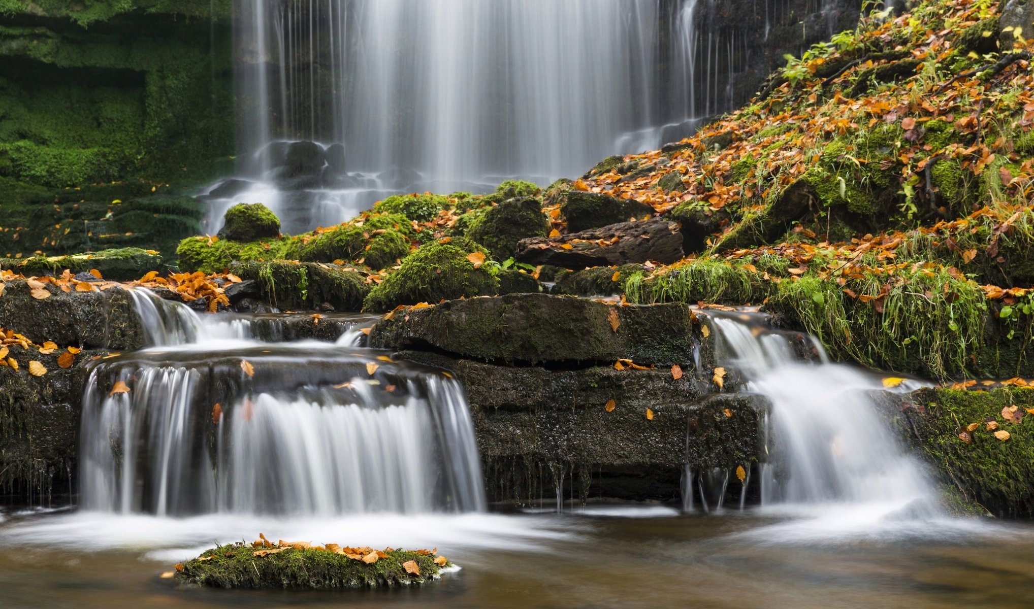 caleberry settle north yorkshire england yorkshire dales national park settle yorkshire dales waterfall rocks moss leaves autumn