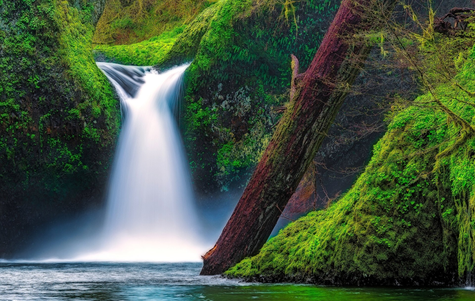 punch bowl wasserfall eagle creek columbia river gorge oregon punch bowl falls wasserfall fluss moos baumstamm