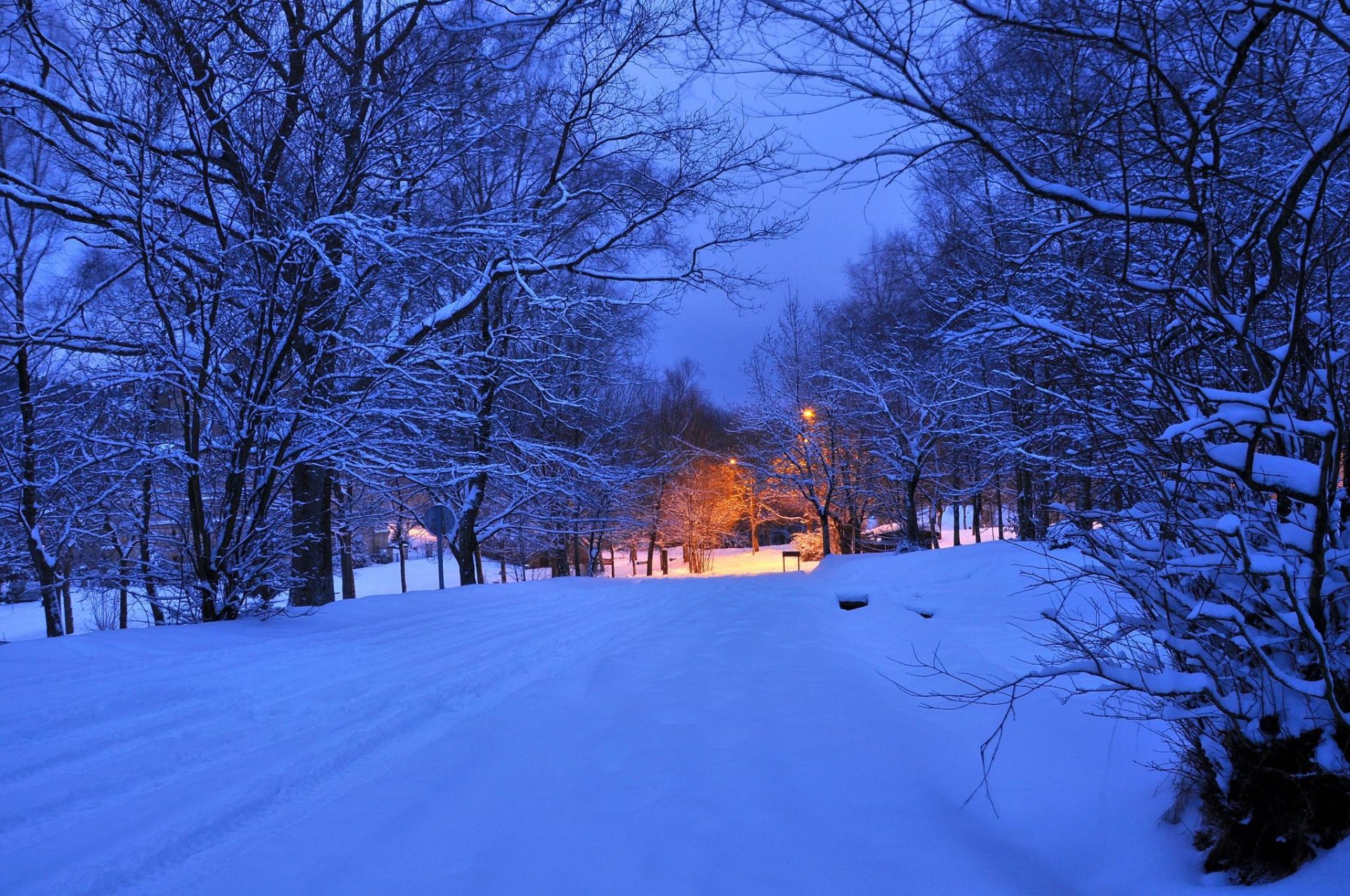 nuit soirée lumière lumières hiver route arbres lanterne neige