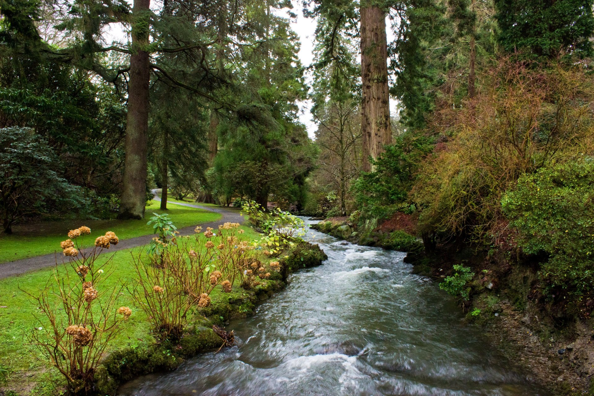 reino unido parque árboles camino arroyo corriente