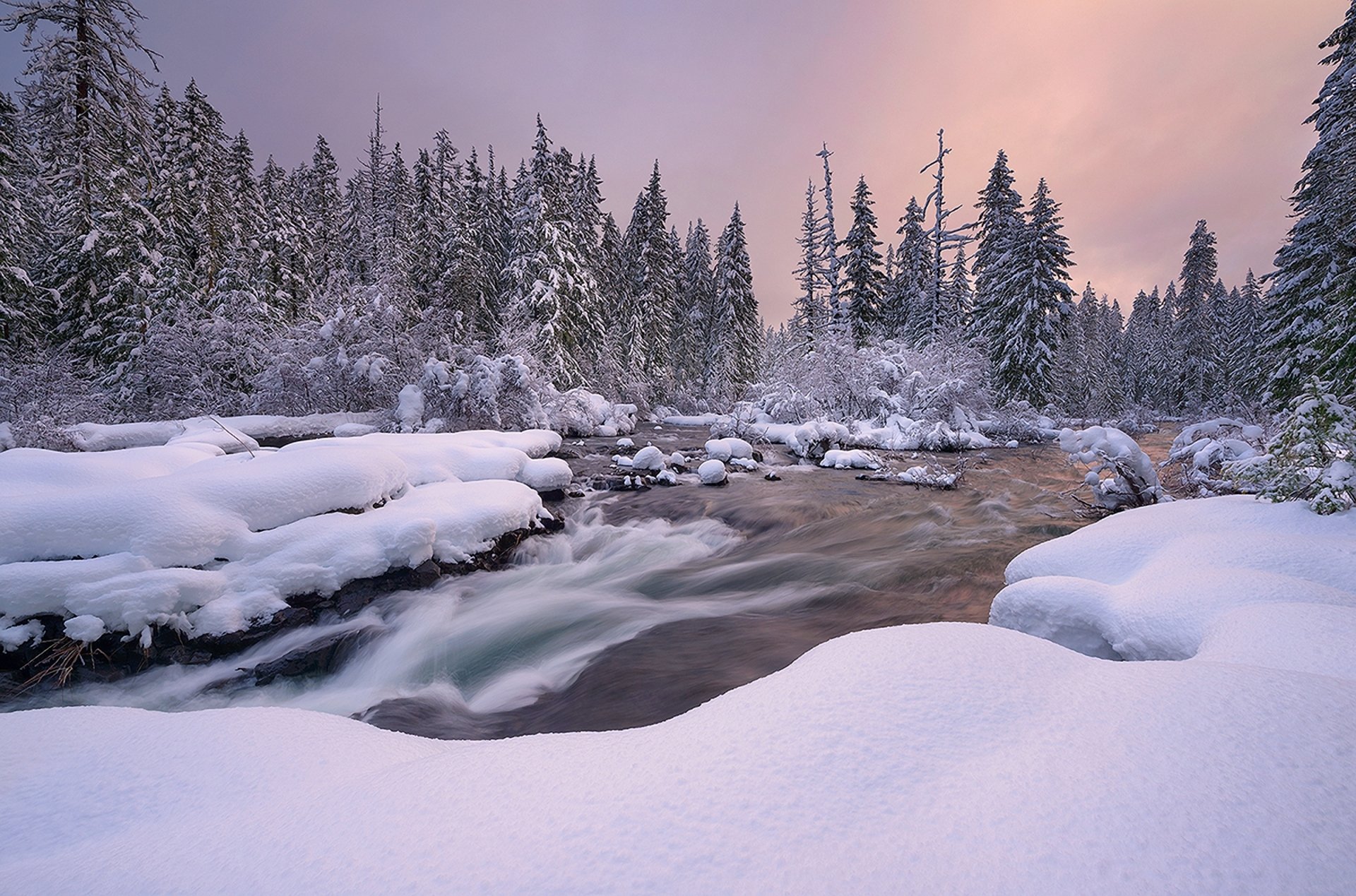 nature paysage hiver neige rivière épinette coucher de soleil